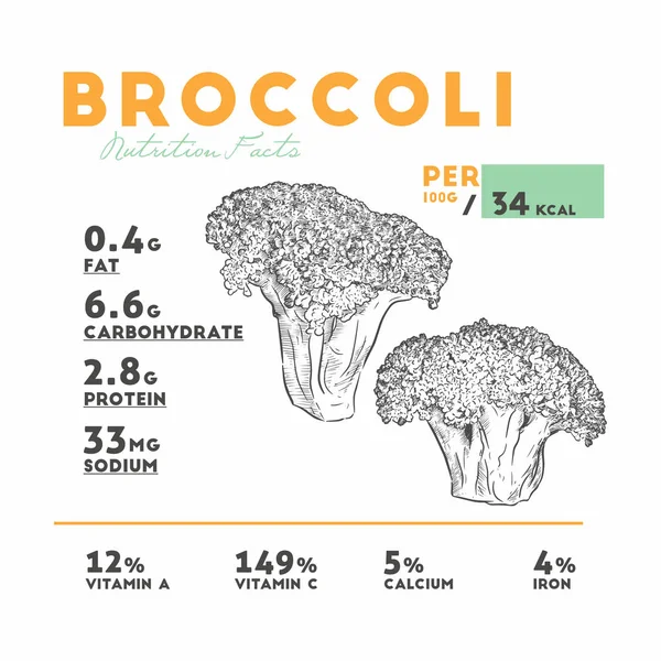 Vektor Der Ernährungsfakten Von Brokkoli Handzeichnen Stil — Stockvektor