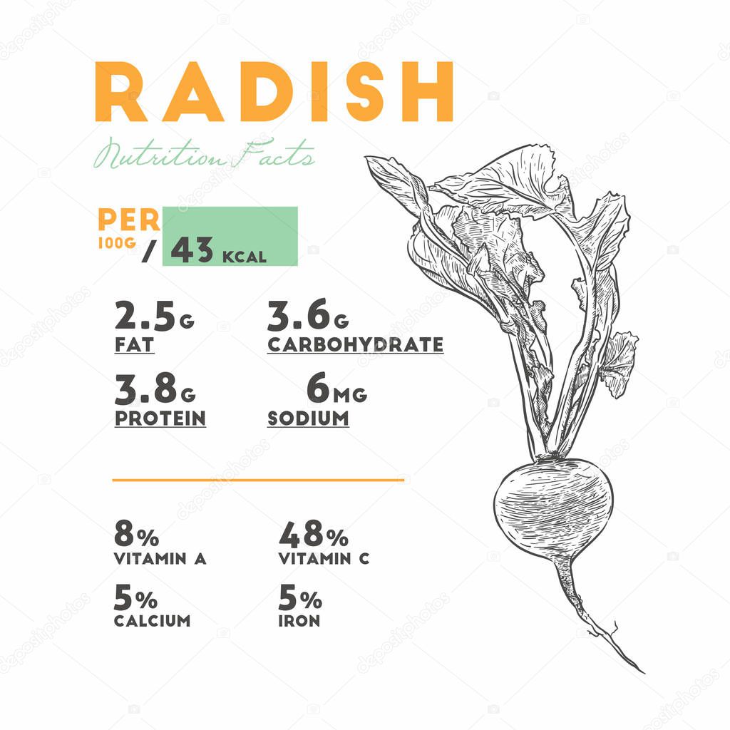 Set of radish, health benefits. Vector illustration with useful nutritional facts. Essential vitamins and minerals in healthy food. Medical, healthcare and dietory concept.