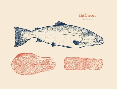 Elle çizilmiş kroki deniz ürünleri vektör vintage çizim 