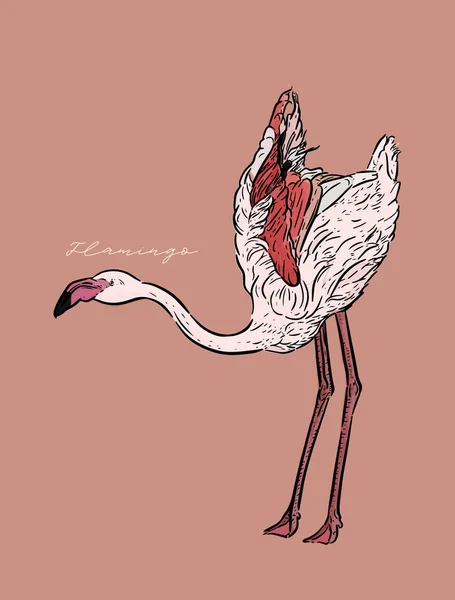 Ilustração Vetorial Flamingo Design Arte Linha Estilo Gravura Desenho Arte —  Vetores de Stock