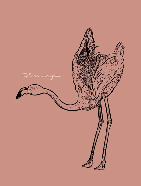 Ilustração Vetorial Flamingo Design Arte Linha Estilo Gravura Desenho Arte —  Vetores de Stock