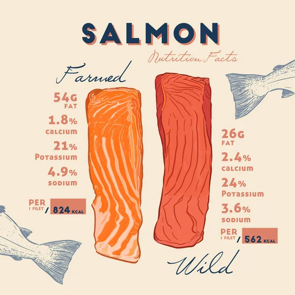 Voeding Feit Van Wilde Gekweekte Zalm Hand Loting Schets Vector — Stockvector