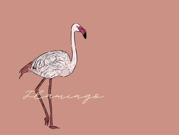 Flamingo Vector Illustration Line Art Design Engraving Style Sketch Artwork — Stock Vector
