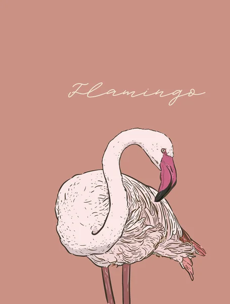 Векторная Иллюстрация Фламинго Линейный Арт Дизайн Стиль Гравировки Рисунок — стоковый вектор