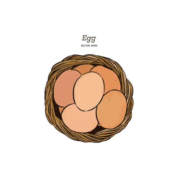 卵のバスケット 手描きスケッチ ベクトルで — ストックベクタ
