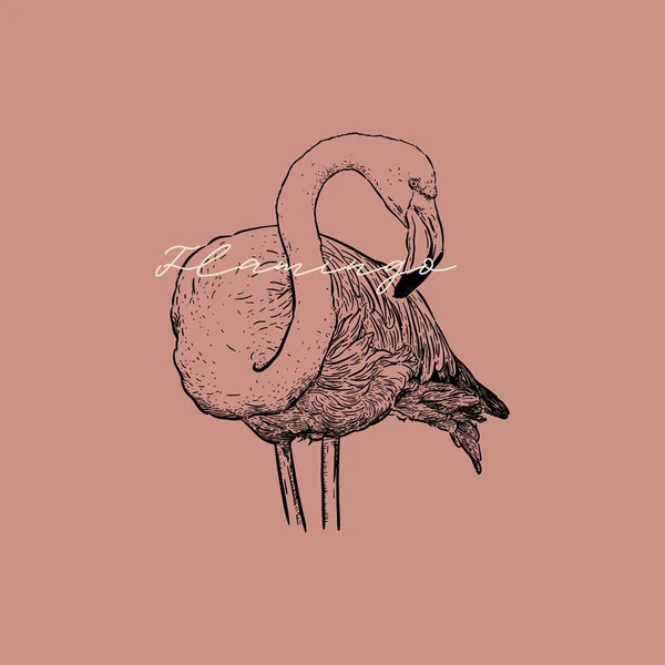 Ilustrasi Vektor Flamingo Desain Seni Garis Gaya Ukiran Sketsa Karya - Stok Vektor