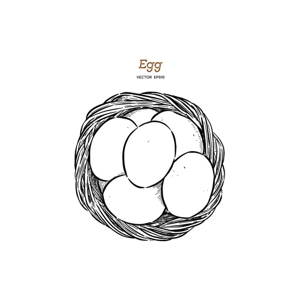 卵のバスケット 手描きスケッチ ベクトルで — ストックベクタ
