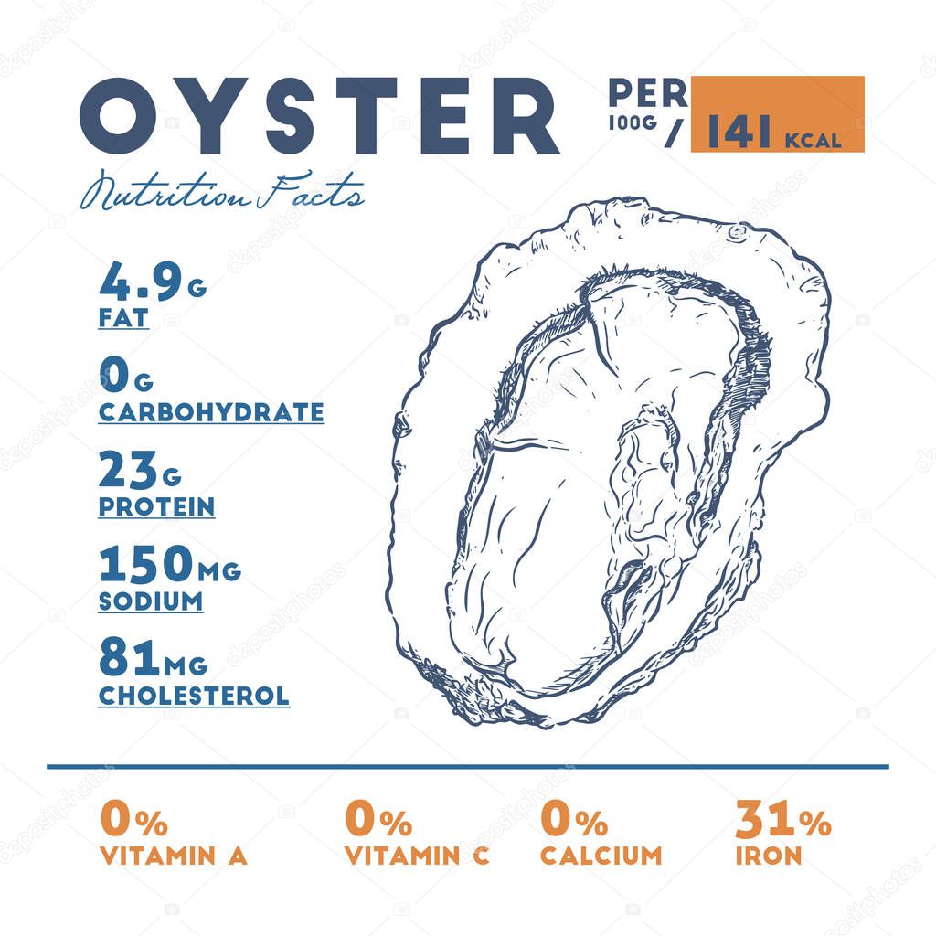 Nutrition Fact of fresh Oyster, Hand draw sketch vector.