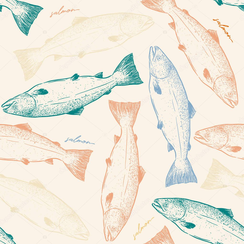 Salmon fish hand draw, seamless pattern sketch vector.