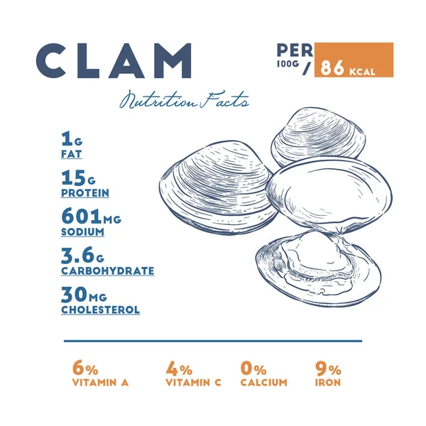Voeding Feiten Van Clam Hand Loting Schets Vector Infographic — Stockvector