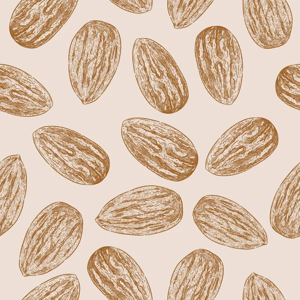 Almendra Patrón Sin Costuras Dibujar Mano Vector Boceto — Vector de stock