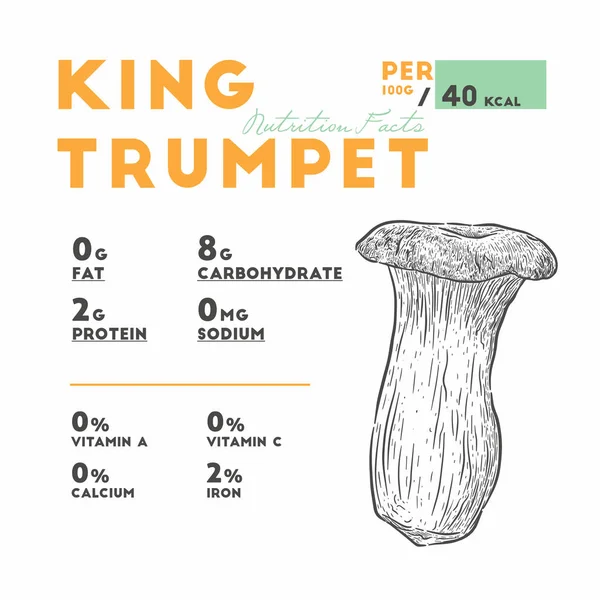 Koning Vector Trompet Wit Paddestoelen Illustratie Achtergrond Zwart Oester Set — Stockvector