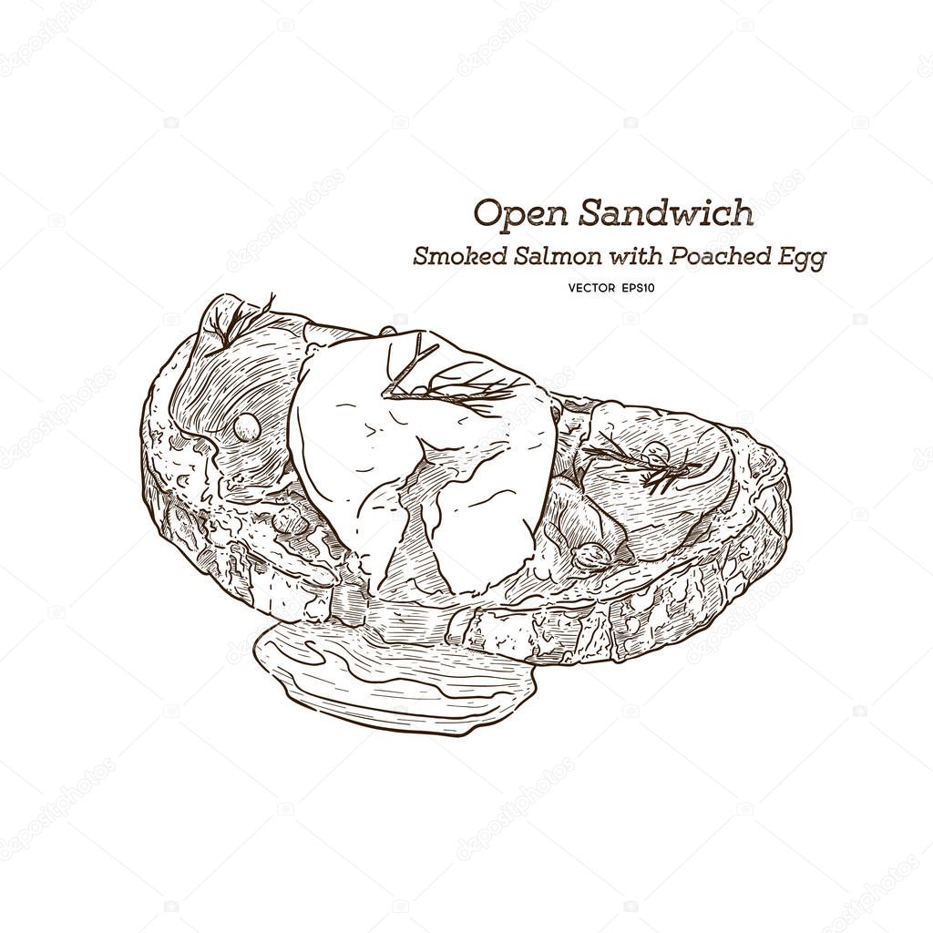 Smoke salmon with poached egg sandwich, open face sandwich. hand draw sketch vector.