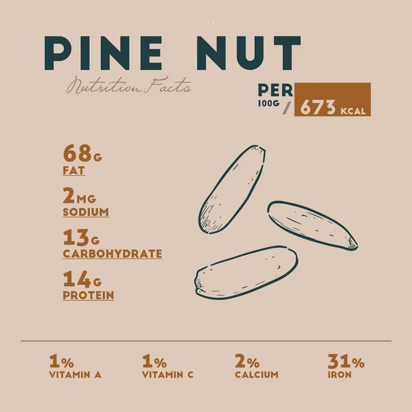 Datos nutricionales de piñón, dibujo a mano vector boceto . — Archivo Imágenes Vectoriales