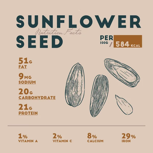 Voeding feiten van zonnebloempitten, hand tekenen vector. — Stockvector