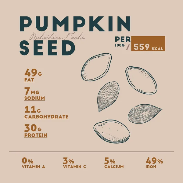 Datos nutricionales de la semilla de calabaza, vector de dibujo a mano . — Archivo Imágenes Vectoriales