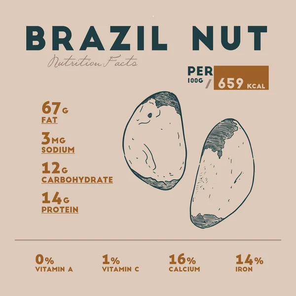 Información nutricional de la nuez de Brasil . — Archivo Imágenes Vectoriales