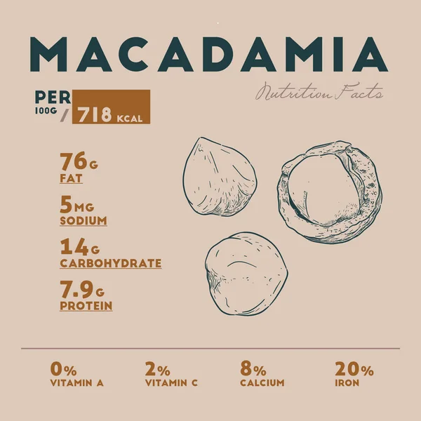 Voeding feiten van macadamia. — Stockvector
