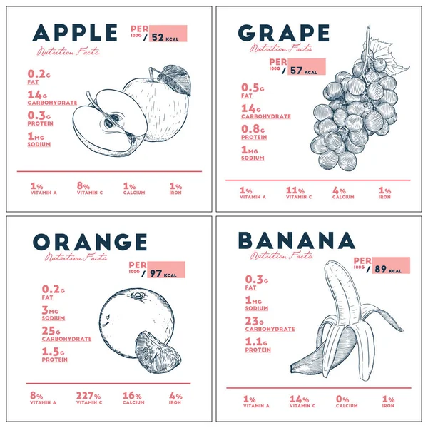 Voeding feit van fruit. Hand getekende vectorillustratie. — Stockvector