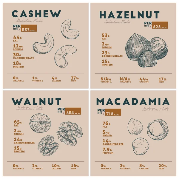 Fato Nutricional Noz Caju Avelã Macadâmia Noz Ilustração Vetorial Desenhada — Vetor de Stock