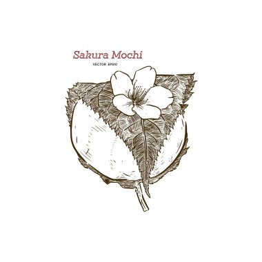 Kansai Sakura Mochi - vektör
