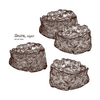 Ikura nigiri, el çizim çizim vektörü.