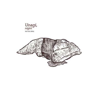 Unagi nigiri, el çizim kroki vektörü.