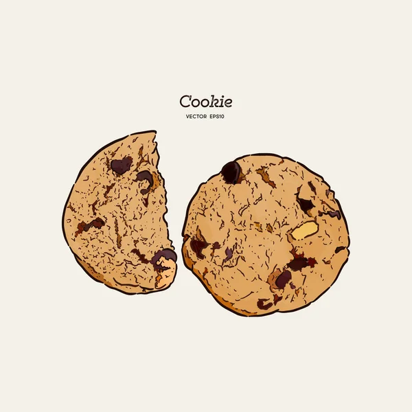 Cookie aux pépites de chocolat, dessin à la main vecteur de croquis . — Image vectorielle
