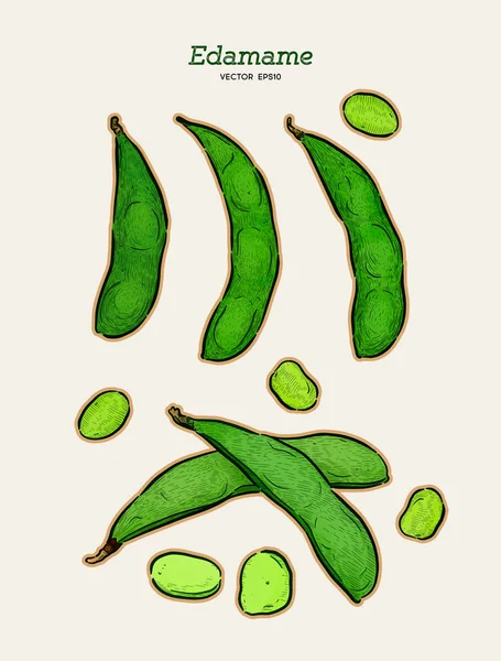 Dibujo dibujado a mano estilo edamame verde frijoles bocetos conjunto . — Archivo Imágenes Vectoriales