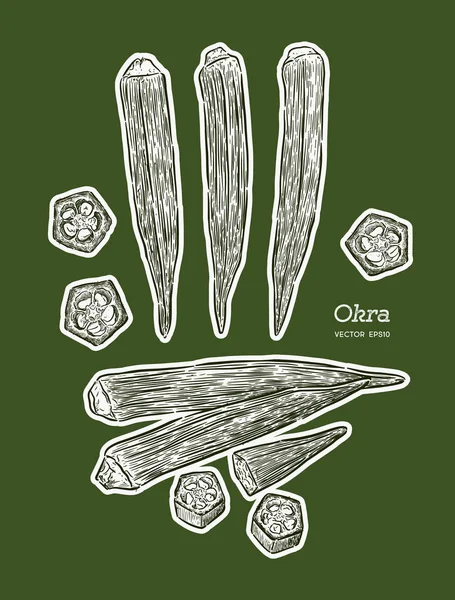 Okra, hand tekenen schets vector. Plantaardige — Stockvector