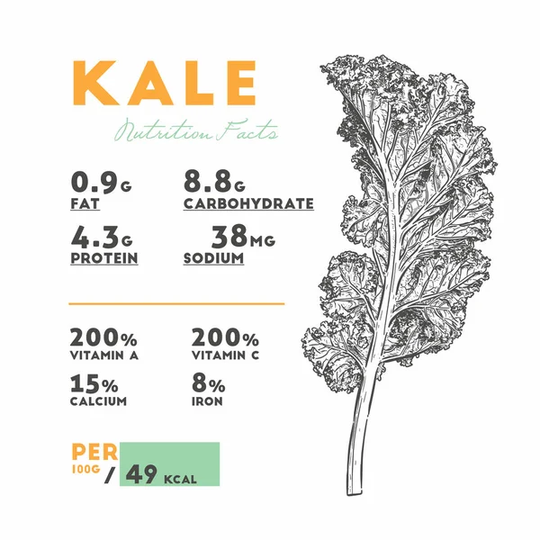 Datos nutricionales de la col rizada, Dibujar a mano vector boceto . — Archivo Imágenes Vectoriales