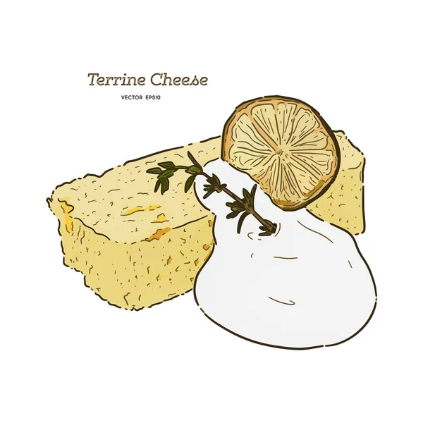 Pastel de queso Terrine. dibujo a mano bosquejo vector . — Archivo Imágenes Vectoriales