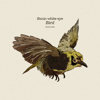 Bonin beyaz göz kuş, el çizim kroki vektörü.