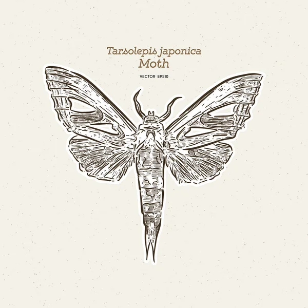 Tarsolepis japonica, Notodontidae fam'ın güvesi türüdür.