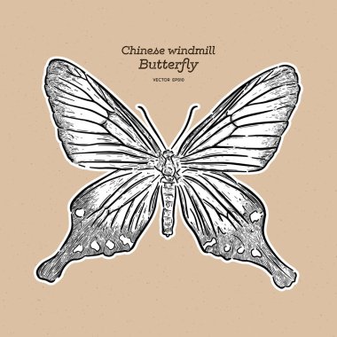 Çin yel değirmeni, papilionidae familyasından bir kelebek türü. han