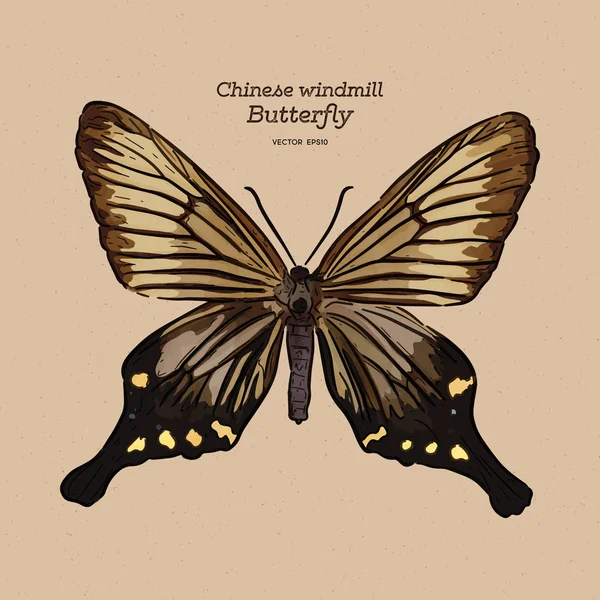 Çin yel değirmeni, papilionidae familyasından bir kelebek türü. han