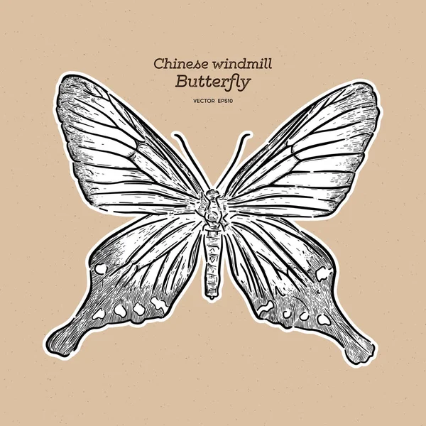 Çin yel değirmeni, papilionidae familyasından bir kelebek türü. han