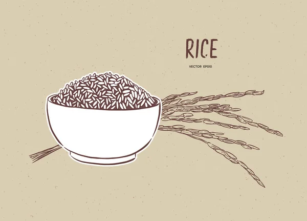 米の枝を持つボウルに米ベクトル。手描きスケッチベクトル. — ストックベクタ