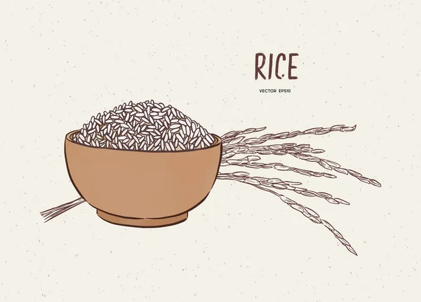 Rice vector in bowl with rice branch. hand draw sketch vector. — Stock Vector