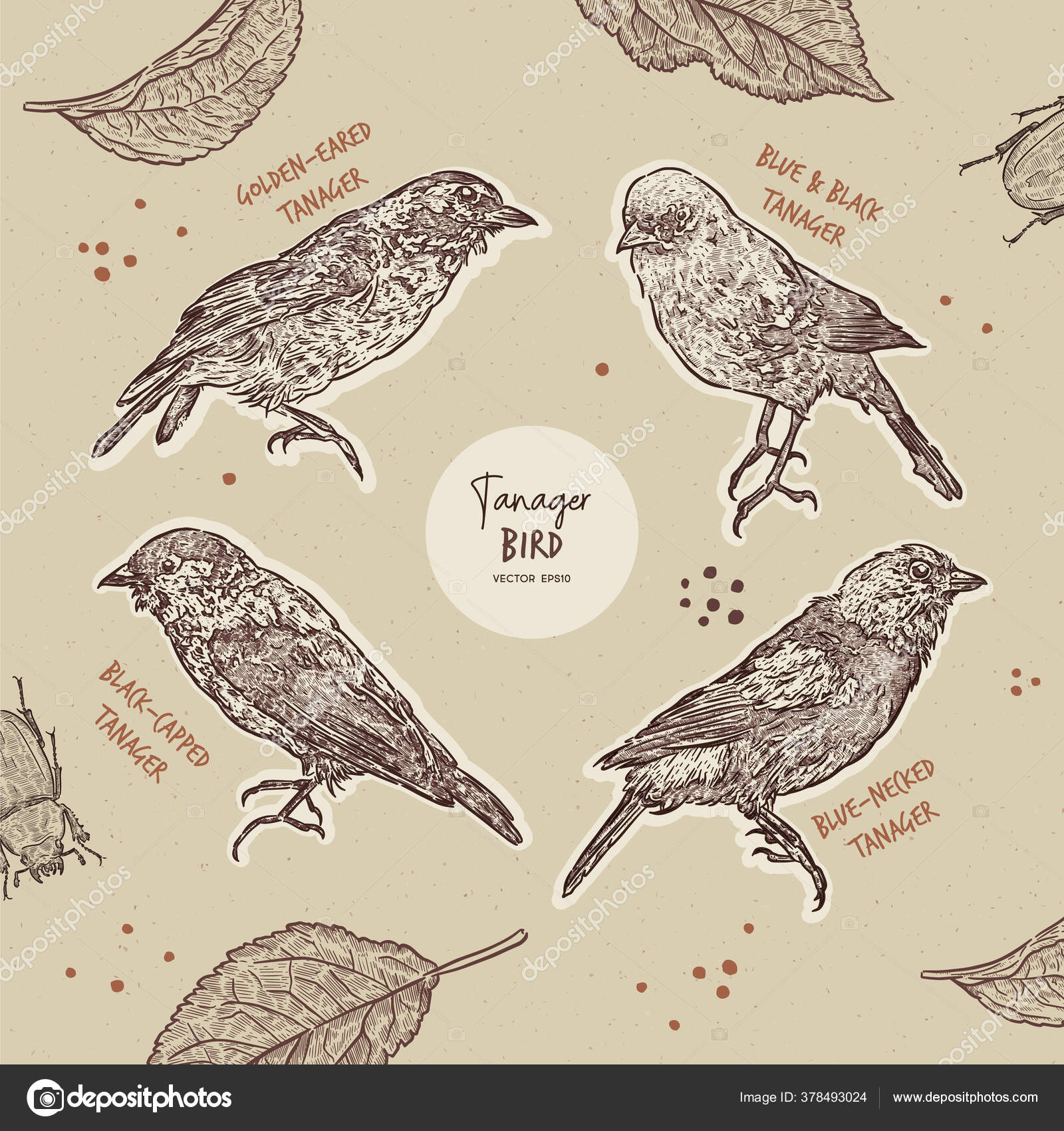 황새치 스케치 황금색 과검은 그리고 스톡 벡터 - ©kirpmun@hotmail.com 378493024, image size:1600x1700