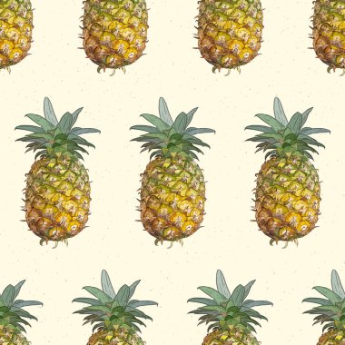 Vektör ananas çizimi. Vektörsüz desen. 