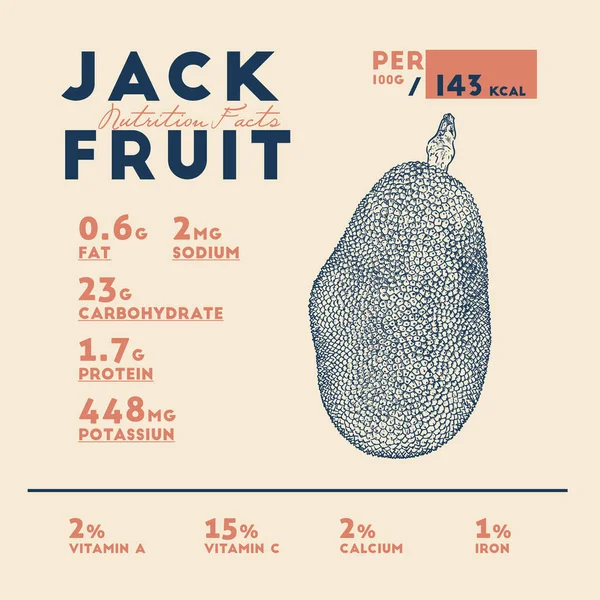 Datos Nutricionales Jaca Dibujo Mano Vector Bosquejo — Archivo Imágenes Vectoriales