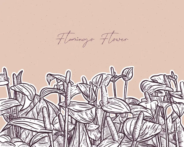 フラミンゴの花や葉 手描きのスケッチベクトル — ストックベクタ