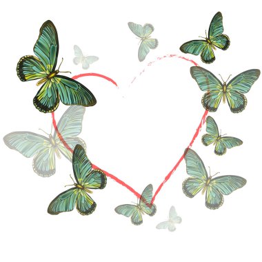 Vektör illüstrasyon kalp beyaz arka plan üzerinde kelebek