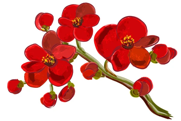 Kırmızı Orkide Brunch Vektör Çizim — Stok Vektör