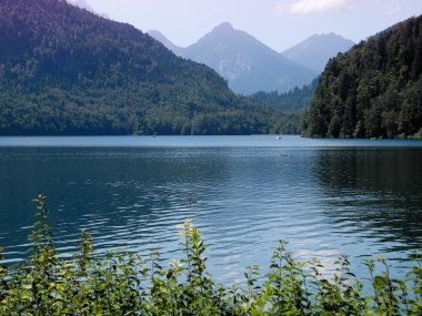 Turkuaz renkli temiz derin su ile Alpsee Dağ Gölü. Ufukta dumanlı mor dağlar.