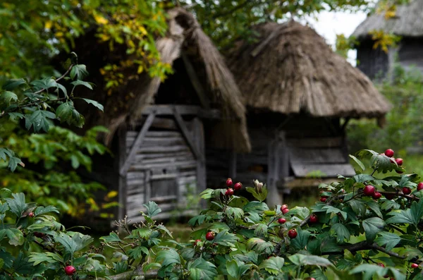 Casa eslava tradicional com palha no parque etnográfico na Ucrânia . — Fotografia de Stock