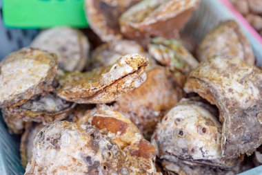 Piyasada taze çiğ istiridyelerin yakın çekim.