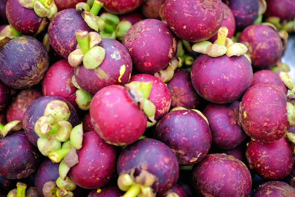 다채로운 Magosteen 과일의 — 스톡 사진