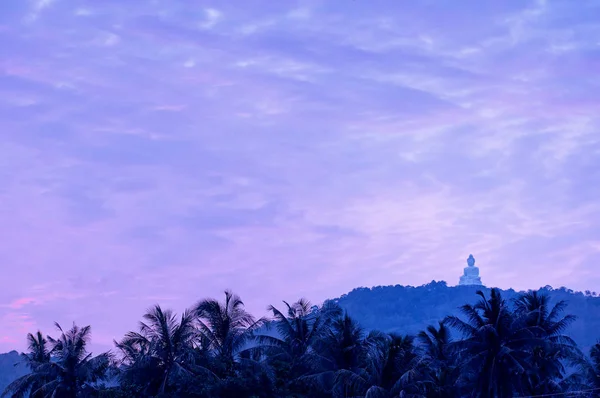 Prachtig Uitzicht Bug Boeddhabeeld Heuvel Phuket Thailand — Stockfoto